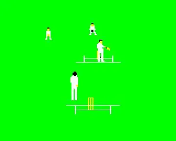 Graham Gooch's Test Cricket (198x)(Audiogenic Software Ltd.)[a] screen shot game playing
